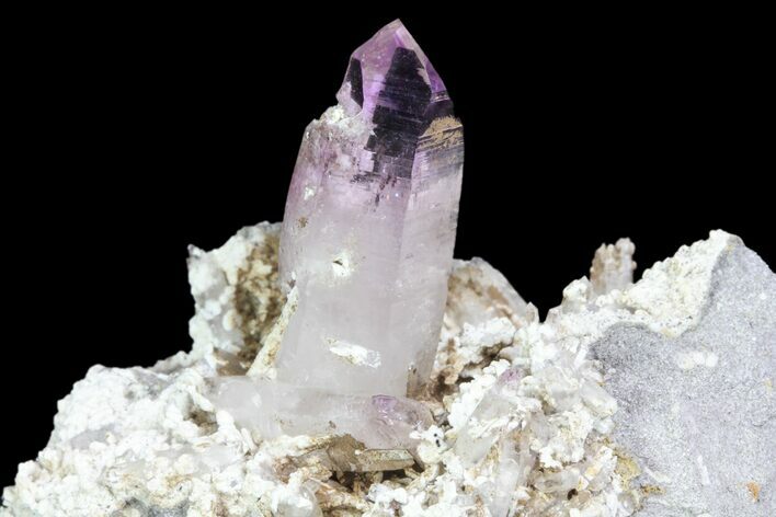 Amethyst Crystal Cluster - Las Vigas, Mexico #80557